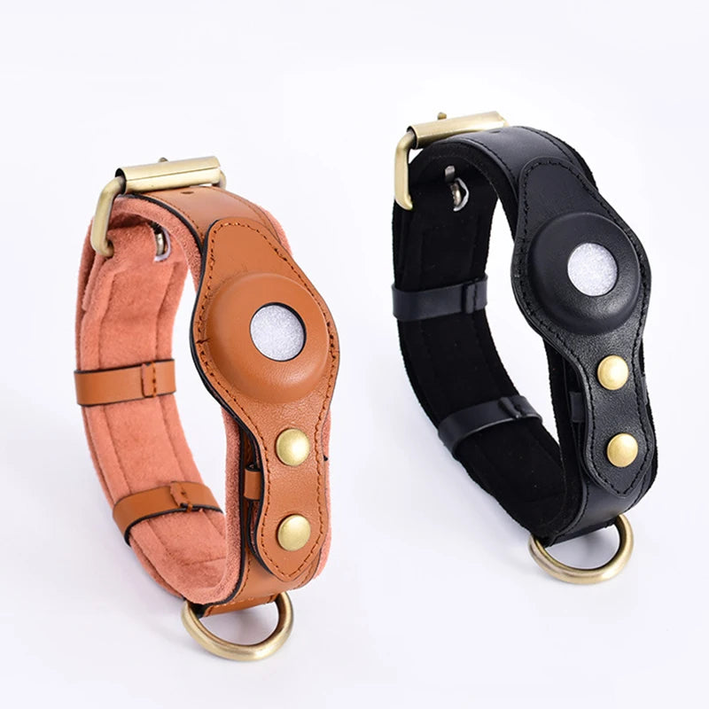 PawFinder Collar