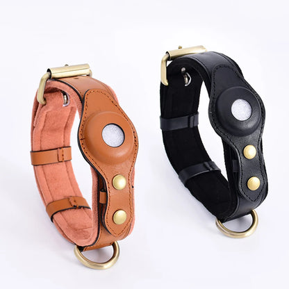 PawFinder Collar