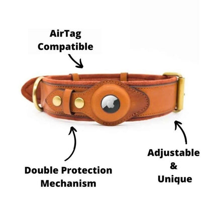 PawFinder Collar